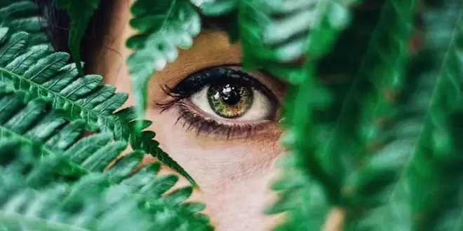 vid in vaje za njegovo obnovo